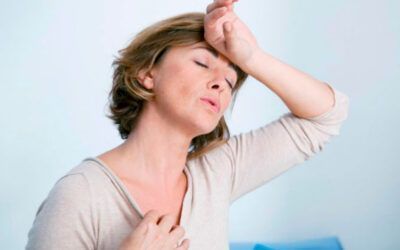 Menopausia Feliz: Mitos, Verdades Y Estrategias para la Transición.